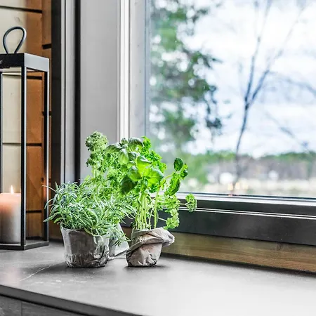 Levin Lyhty Bianca By Hilla Huoneisto